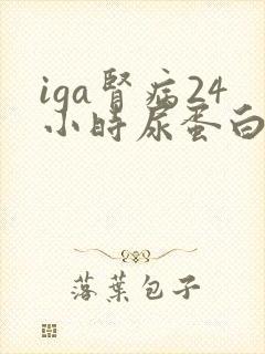 iga肾病24小时尿蛋白1克