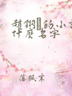 赵钢镚的小说叫什么名字