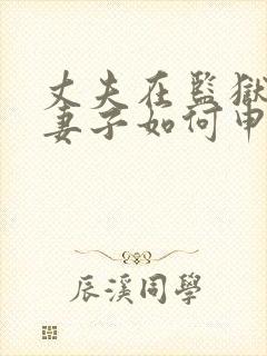 丈夫在监狱服刑妻子如何申请离婚