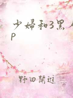 少妇和3黑人4p