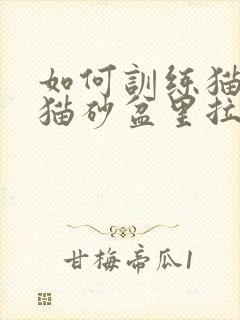 如何训练猫咪在猫砂盆里拉屎