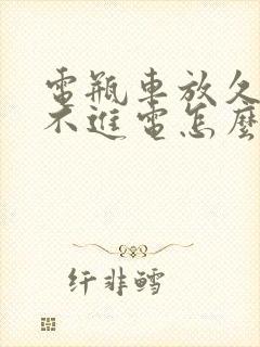 电瓶车放久了充不进电怎么办