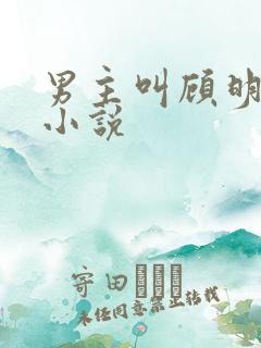 男主叫顾明哲的小说