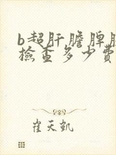 b超肝胆脾胰肾检查多少费用