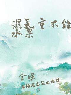 湿气重不能吃啥水果