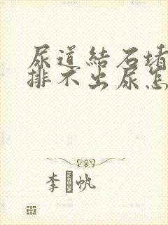 尿道结石堵住了排不出尿怎么办