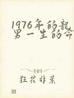 1976年的龙男一生的命运