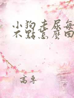 小狗老尿每回尿不点怎么回事