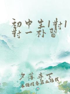 初中生1对1一对一补习