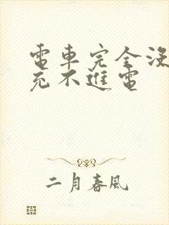 电车完全没电了充不进电