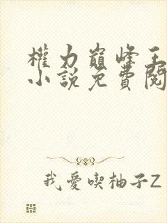 权力巅峰王洪涛小说免费阅读全本