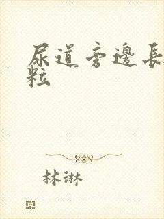 尿道旁边长小肉粒