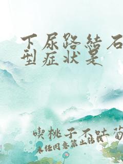 下尿路结石的典型症状是