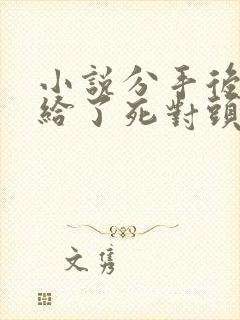 小说分手后我嫁给了死对头的前男友全文