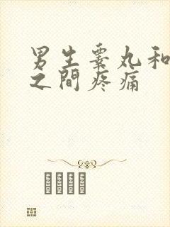 男生睾丸和肛门之间疼痛