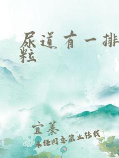 尿道有一排小肉粒