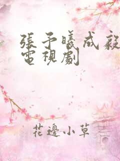 张予曦成毅演的电视剧