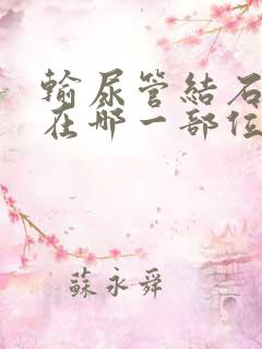 输尿管结石停留在哪一部位最多见