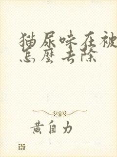 猫尿味在被子上怎么去除