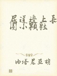 尿道边上长了一圈小颗粒