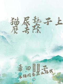 猫尿垫子上味怎么去除