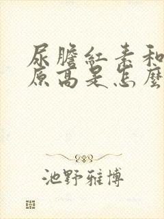 尿胆红素和尿胆原高是怎么回事