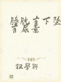 膀胱有下坠感老有尿意