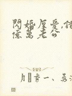 闪婚厚爱,错嫁亿万老公