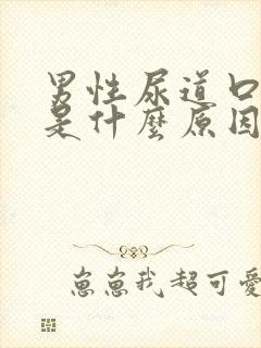 男性尿道口出血是什么原因引起的