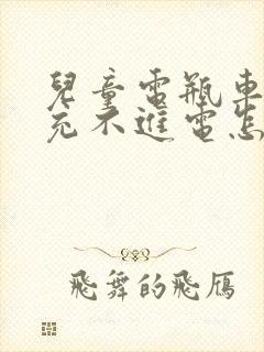 儿童电瓶车电瓶充不进电怎么办