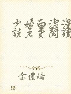 少妇白洁漫画小说免费阅读