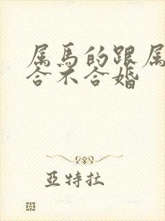 属马的跟属狗的合不合婚