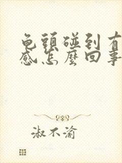 龟头碰到有刺痛感怎么回事