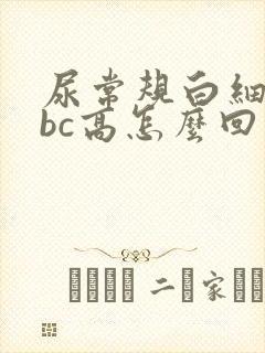 尿常规白细胞wbc高怎么回事