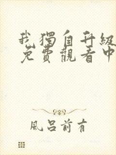 我独自升级动漫免费观看中文版