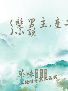 (双男主,产子)小说