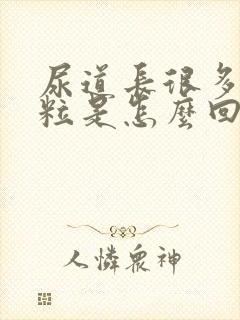 尿道长很多小肉粒是怎么回事