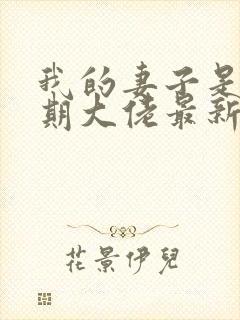 我的妻子是大乘期大佬最新下载