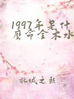 1997年是什么命金木水火土命