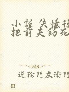 小说 失忆后错把前夫的死对头当老公