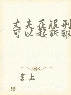 丈夫在服刑妻子可以起诉离婚吗