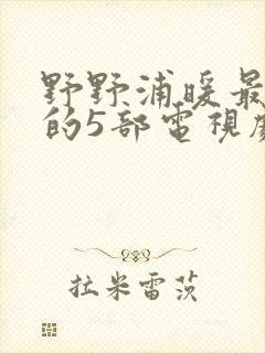 野野浦暖最好看的5部电视剧