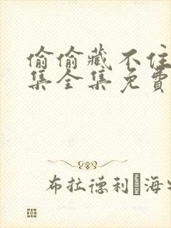 偷偷藏不住40集全集免费观看