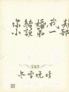 你结婚,我劫婚小说第一部