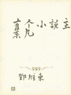 有个小说主角叫叶凡