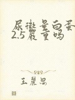 尿微量白蛋白32.5严重吗