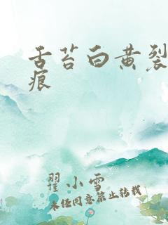 舌苔白黄裂纹齿痕