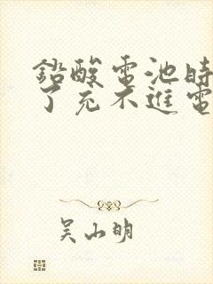 铅酸电池时间长了充不进电怎么办