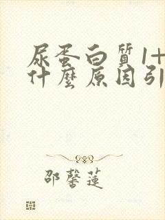 尿蛋白质1+是什么原因引起的