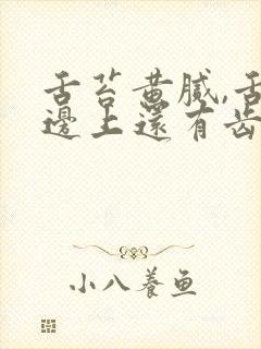 舌苔黄腻,舌头边上还有齿痕